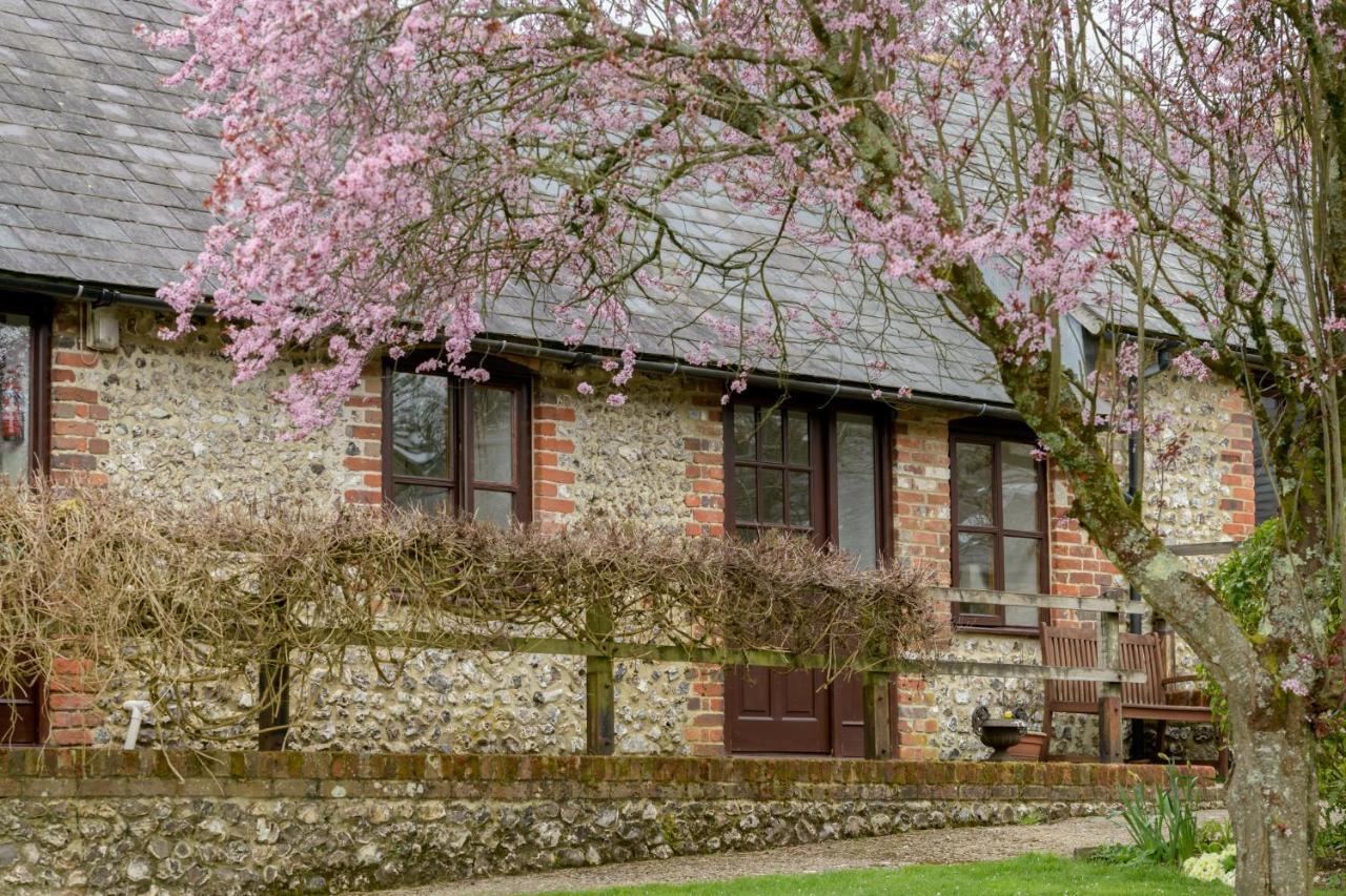Luccombe Farm Holiday Cottages Milton Abbas Exterior foto
