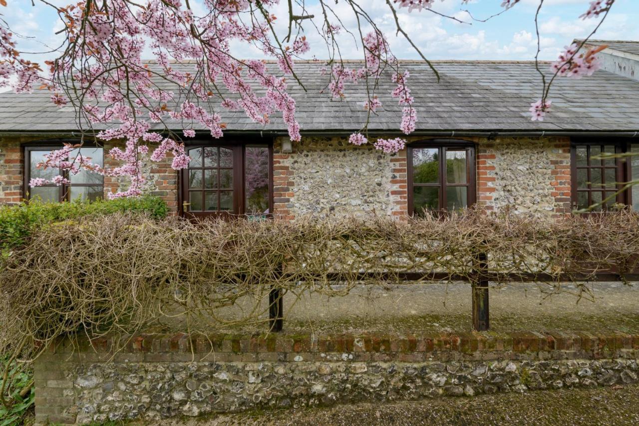 Luccombe Farm Holiday Cottages Milton Abbas Exterior foto